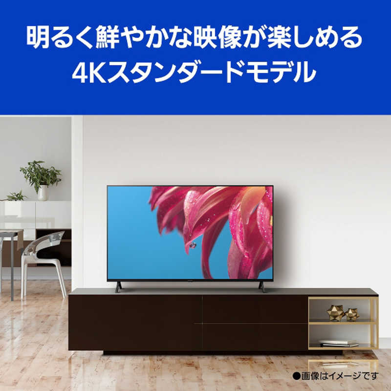 パナソニック　Panasonic パナソニック　Panasonic VIERA(ビエラ) 液晶テレビ 55V型 4Kチューナー内蔵 TH-55LX800 TH-55LX800