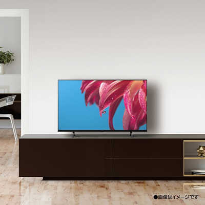パナソニック Panasonic 【アウトレット】 液晶テレビ VIERA ( ビエラ