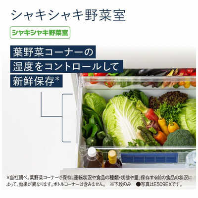 Panasonic 冷蔵庫 NR-E419EX 406L 自動製氷 右開き パナソニック Panasonic 冷蔵庫 EXタイプ 5ドア 右開き 406L NR