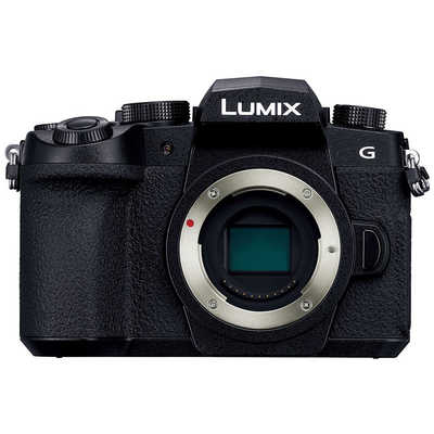 パナソニック Panasonic ミラーレス一眼カメラ LUMIX DC-G99D ボディ 