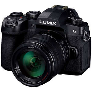 パナソニック　Panasonic LUMIX G99 ミラーレス一眼カメラ 標準ズームレンズキット ブラック ［ズームレンズ］ DC-G99DH-K