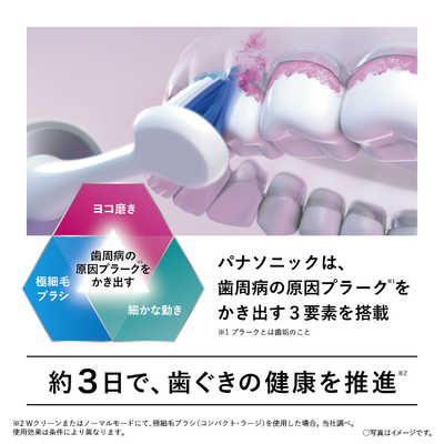 パナソニック Panasonic 電動歯ブラシ Doltz （ドルツ） シルバー