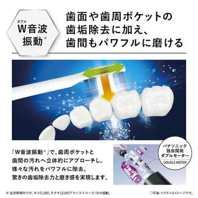 パナソニック Panasonic 電動歯ブラシ Doltz(ドルツ) 白 [振動式