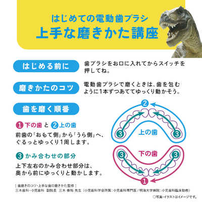 Panasonic - Panasonic ドルツ 電動歯ブラシ Doltz パナソニック Panasonic 電動歯ブラシ Doltz(ドルツ) ［ドルツ