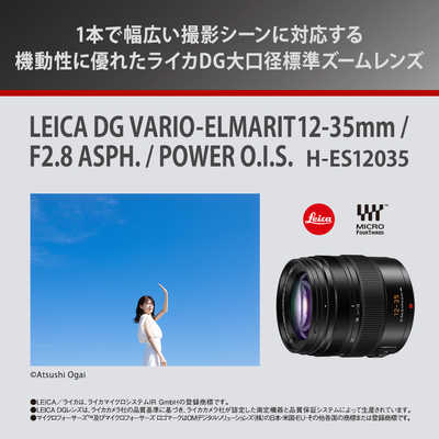パナソニック Panasonic カメラレンズ LEICA DG VARIO-ELMARIT 12-35mm