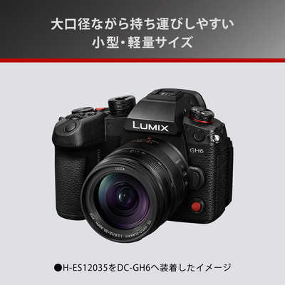 パナソニック Panasonic カメラレンズ LEICA DG VARIO-ELMARIT 12-35mm