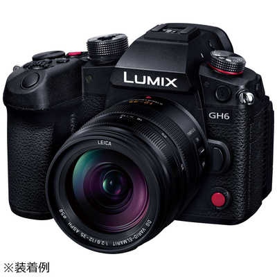 パナソニック Panasonic カメラレンズ LEICA DG VARIO-ELMARIT 12-35mm