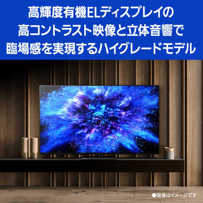 パナソニック Panasonic 有機ELテレビ VIERA ( ビエラ ) [ 65V型 / 4K
