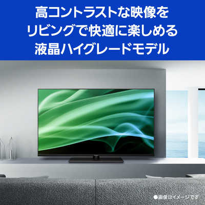 パナソニック Panasonic VIERA(ビエラ) 液晶テレビ 50V型 4Kチューナー