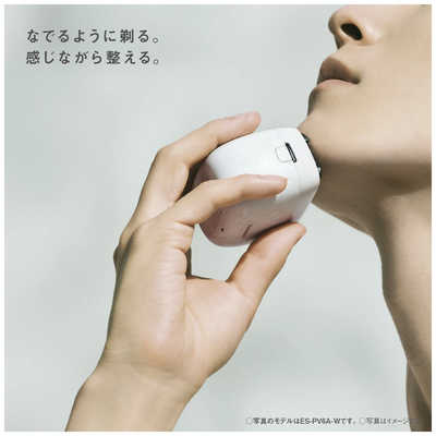 パナソニック Panasonic 電気シェーバー ラムダッシュ パームイン