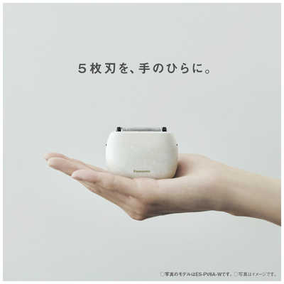パナソニック Panasonic 電気シェーバー ラムダッシュ パームイン