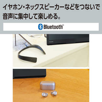 パナソニック Panasonic ポータブルテレビ [ 10V型 / 防水対応 ] UN