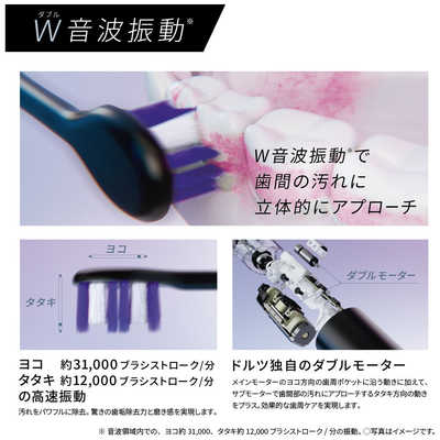 Panasonic Doltz EW-DL39 電動歯ブラシ本体