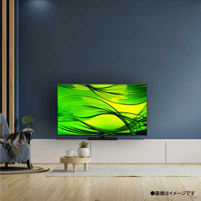 パナソニック Panasonic Mini LED液晶テレビ VIERA ( ビエラ