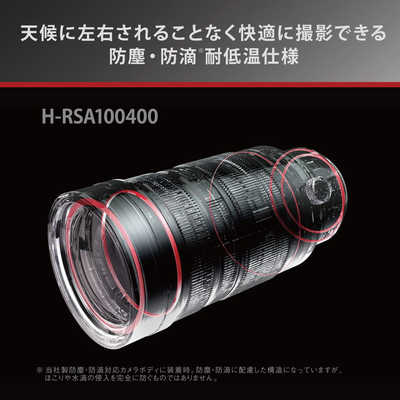 パナソニック Panasonic カメラレンズ LEICA DG VARIO-ELMAR 100-400mm