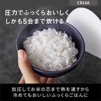 パナソニック Panasonic 炊飯器 5合 圧力IH ブラック SR-CR10A-K の