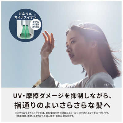 パナソニック Panasonic イオンドライヤー ionity(イオニティ