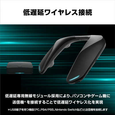 Panasonic ネックスピーカーシステム SC-GNW10（パナソニック