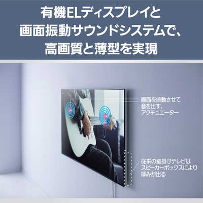 パナソニック Panasonic 有機ELテレビ VIERA ビエラ LW2 65V型 4K対応