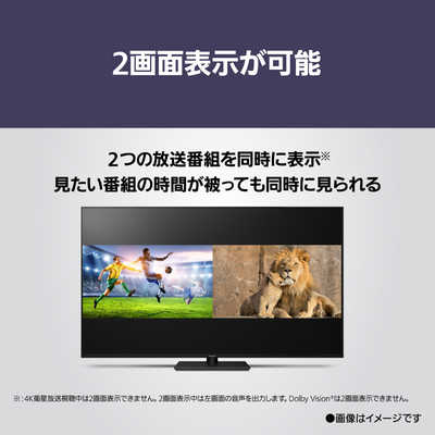 パナソニック Panasonic 液晶テレビ VIERA ( ビエラ ) W90A パナソニック Panasonic 液晶テレビ VIERA ( ビエラ ) W90A
