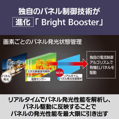 パナソニック Panasonic 有機ELテレビ VIERA(ビエラ) Z95A