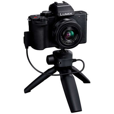 パナソニック Panasonic ミラーレス一眼カメラ LUMIX DC-G100DV 標準