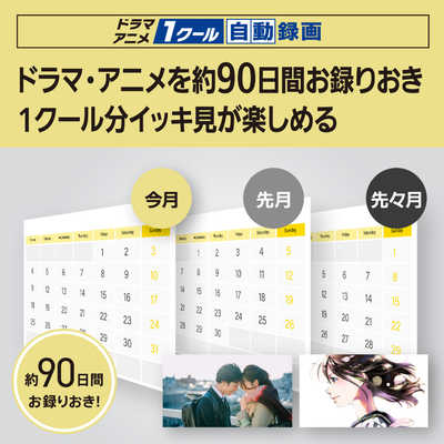 パナソニック Panasonic ブルーレイレコーダー DIGA [ 4TB / 全自動