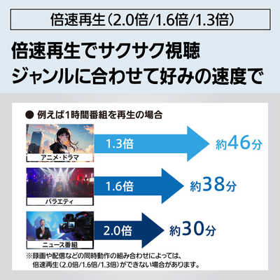 パナソニック Panasonic ブルーレイディスクレコーダー DIGA