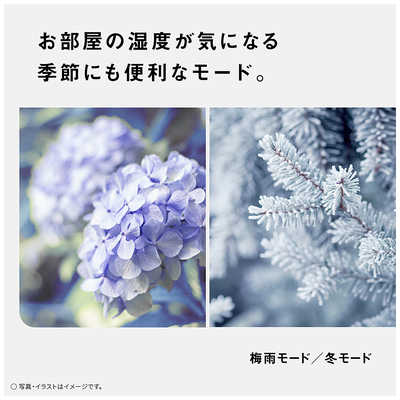 パナソニック Panasonic 【アウトレット】衣類乾燥除湿機 ハイブリッド