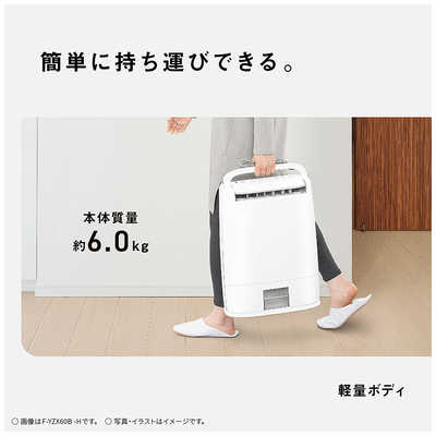 パナソニック Panasonic 衣類乾燥除湿機 デシカント(ゼオライト