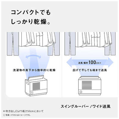 パナソニック Panasonic 【アウトレット】衣類乾燥除湿機 デシカント