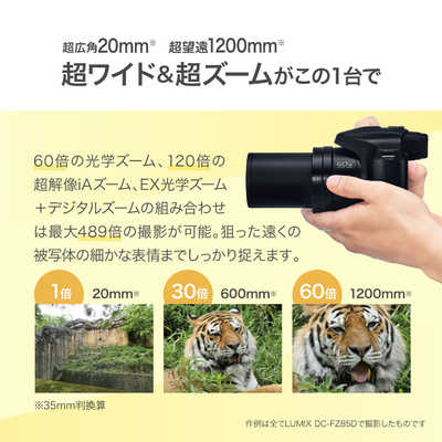 パナソニック Panasonic コンパクトデジタルカメラ LUMIX DC