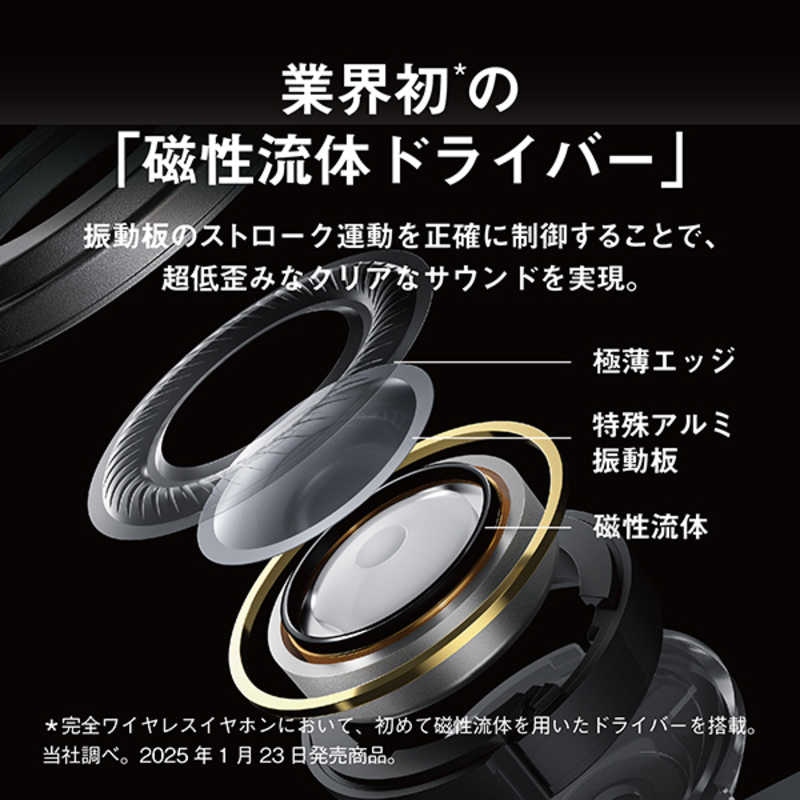 TECHNICS TECHNICS 完全ワイヤレスイヤホン シルバー［ワイヤレス(左右分離) /ノイズキャンセリング対応 /Bluetooth対応］ EAH-AZ100-S EAH-AZ100-S