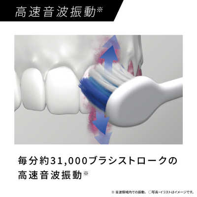 パナソニック Panasonic 電動歯ブラシ ［ドルツ /音波振動式