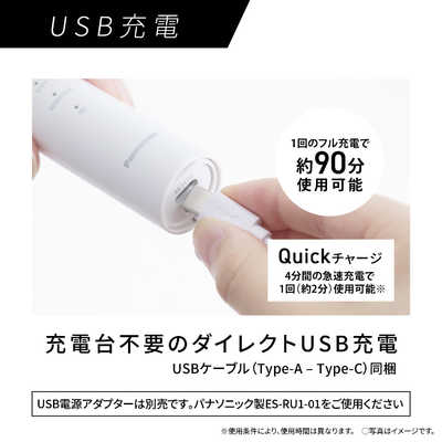 パナソニック Panasonic 電動歯ブラシ ［ドルツ /音波振動式