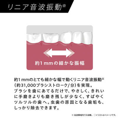 パナソニック Panasonic 電動歯ブラシ Doltz ドルツ [ 音波振動式