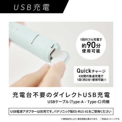 パナソニック Panasonic 電動歯ブラシ ［ドルツ /音波振動式