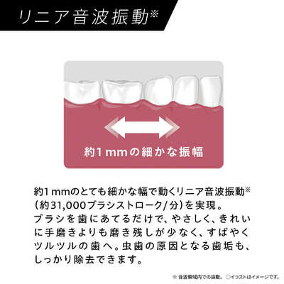 Panasonic Doltz EW-DA18-W 電動歯ブラシ本体 Doltz パナソニック 音波振動ハブラシ ドルツ EW-DA18-W 白