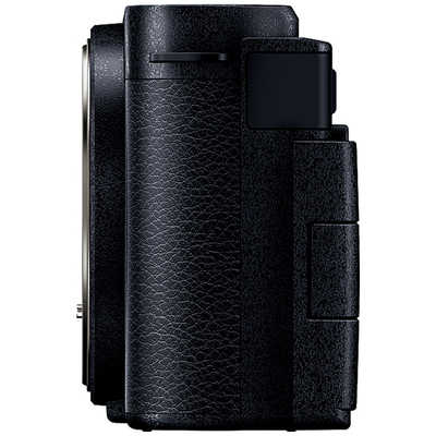 パナソニック Panasonic ミラーレス一眼カメラ LUMIX S9 標準 パナソニック Panasonic ミラーレス一眼カメラ LUMIX S9 標準