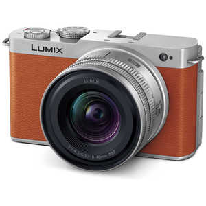 パナソニック Panasonic ミラーレス一眼カメラ LUMIX S9 広角ズームレンズキット DC-S9N-D キャメルオレンジ