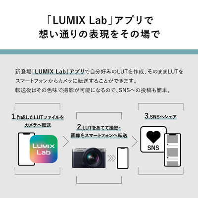 パナソニック Panasonic ミラーレス一眼カメラ LUMIX S9 高倍率ズーム 