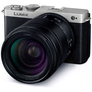 パナソニック　Panasonic ミラーレス一眼カメラ［高倍率ズームレンズ］ LUMIX ダークシルバー DCS9HS