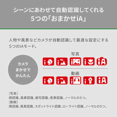 パナソニック Panasonic デジタル4Kビデオカメラ [4K対応 パナソニック Panasonic デジタル4Kビデオカメラ [4K対応