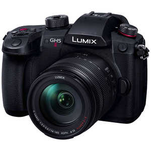 ѥʥ˥å Panasonic LUMIX GH5 II ߥ顼쥹㥫 10ܥ󥺥å Υ󥺡 DC-GH5M2H