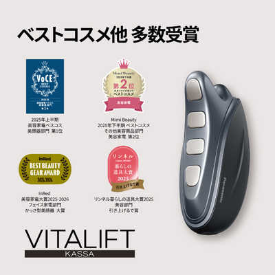 パナソニック Panasonic リフトケア美顔器 バイタリフト かっさ［EMS
