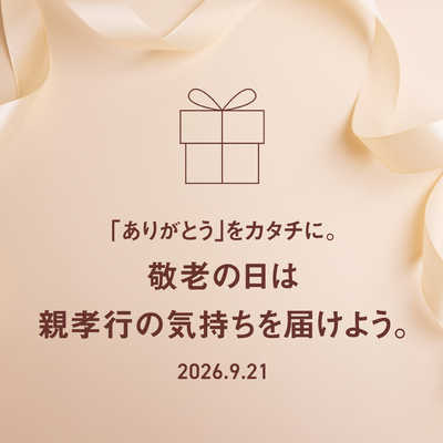 パナソニック Panasonic 高周波治療器 コリコランループ CoriCoran