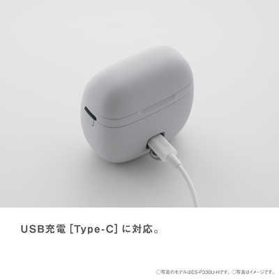 パナソニック Panasonic メンズシェーバー ラムダッシュ パームイン