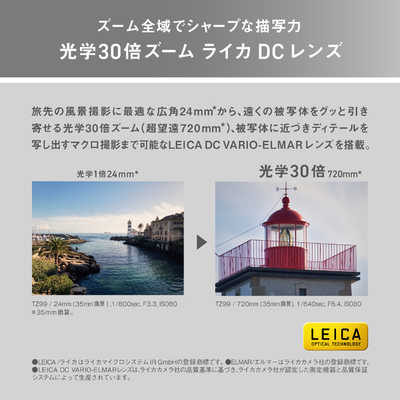 パナソニック Panasonic コンパクトデジタルカメラ LUMIX TZ99