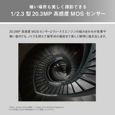 パナソニック Panasonic コンパクトデジタルカメラ LUMIX TZ99