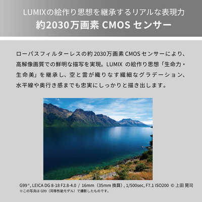 新品)Panasonic (パナソニック) LUMIX DC-G99M2H 高倍率ズーム